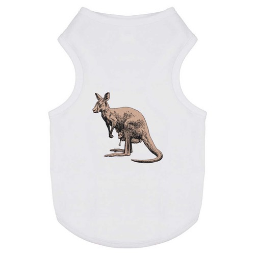 Kangaroo dog cat pet - /,