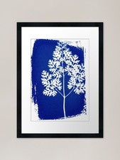 cyanotype fern 2 Framed Art