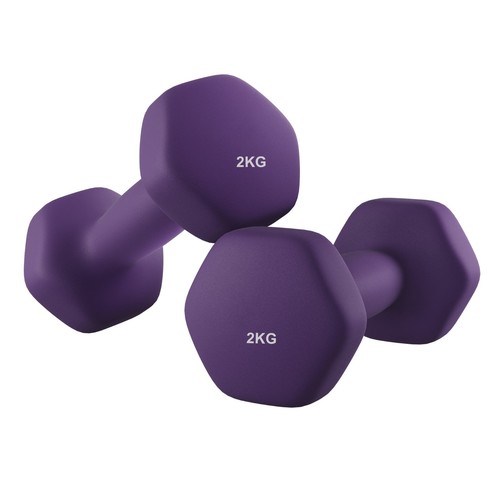 Songmics set dumbbells 2 - set, of