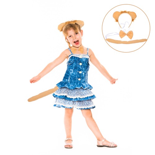 Lion costume accessory kit - ,
