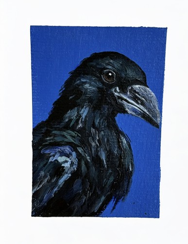 Aceo crow bird - aceo, original