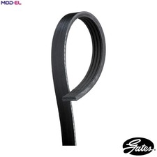 VRIBBED BELT 4PK1058 FOR