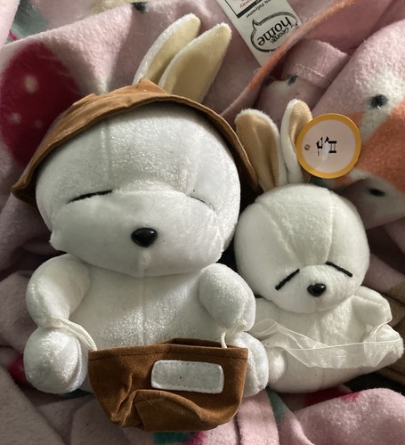 Mashimaro white rabbit - mashimaro,