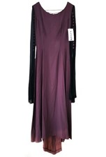 Cosplay Victorian Medieval