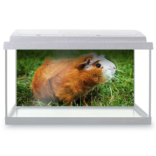 Fish tank background 90x45cm - tank,