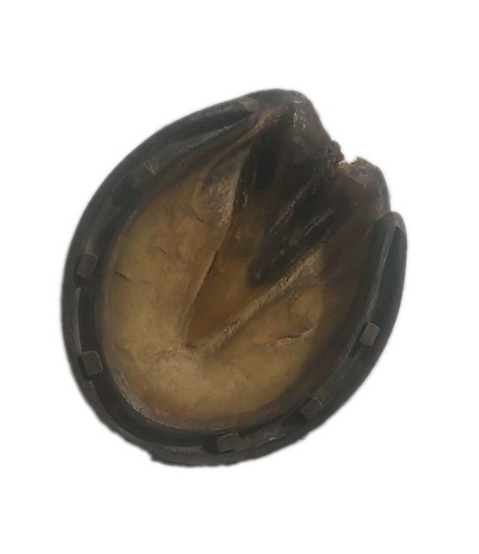 Antique macabre decor - antique,