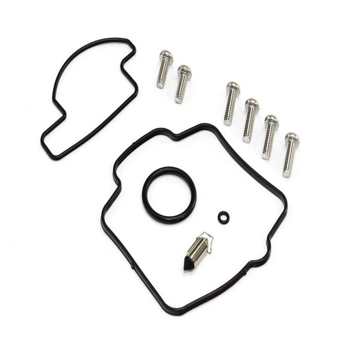 Carburetor revision kit - carburetor,