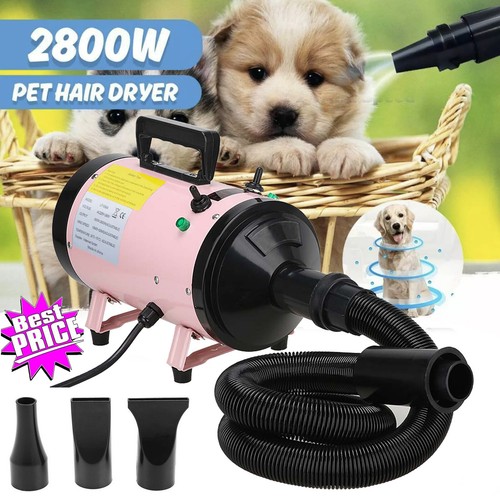 Professional pet hairdryer dog - pet,