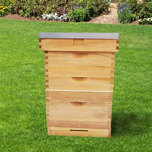 Langstroth cedar beehive bee - beehive,