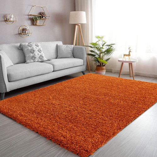Shaggy living room rug bedroom - living,