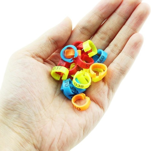 Plastic chicken leg rings for - leg,