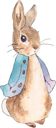 Peter rabbit watercolour - peter,