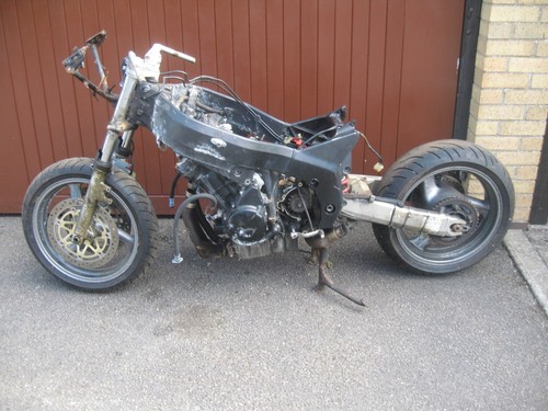 Honda blackbird cbr1100xx - honda,