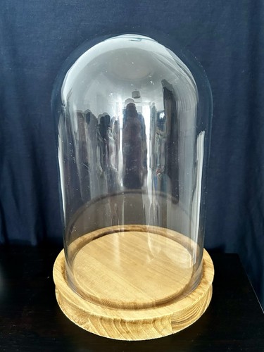 Large glass cloche bell jar - large,