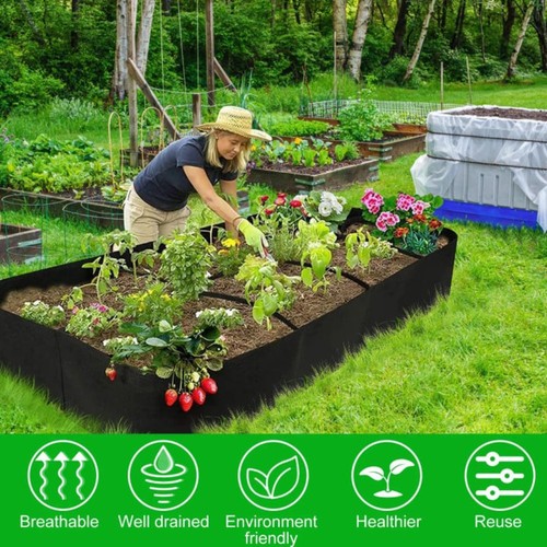Large plant grow - large, bags