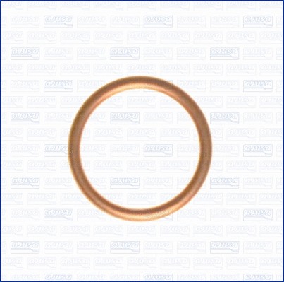 Seal ring oil drain - oil, plug