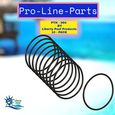 SX200Z4  Sand Filter O-ring