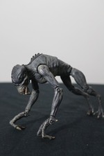 Primeval Creatures - Future