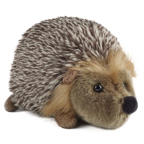 Living nature hedgehog medium - hedgehog,