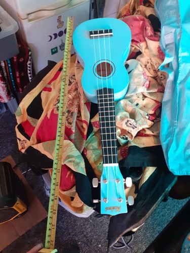Malibu ukulele sky blue - in,