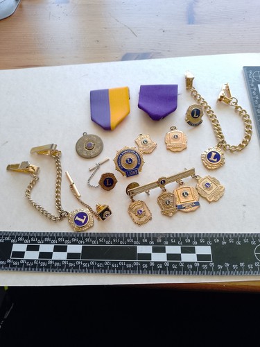 Job lot lions club items - job,