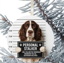 Springer Spaniel Dog Gift