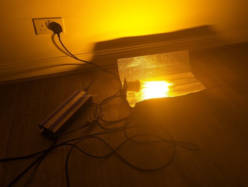 600w digital dimmable - 600w,