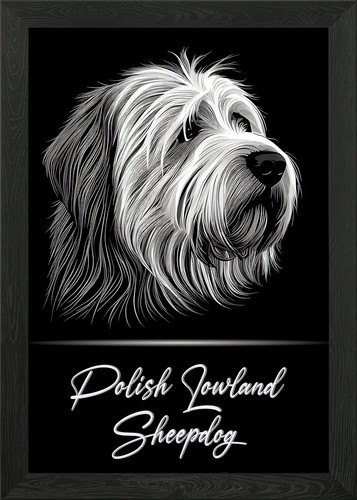Polish lowland sheepdog framed - sheepdog,