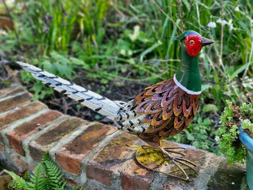 Upright pheasant garden - pheasant,