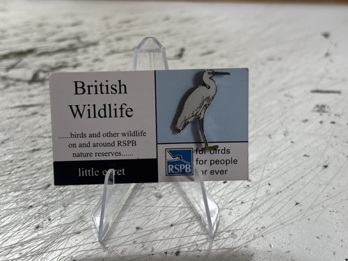 Rspb little egret british - little,