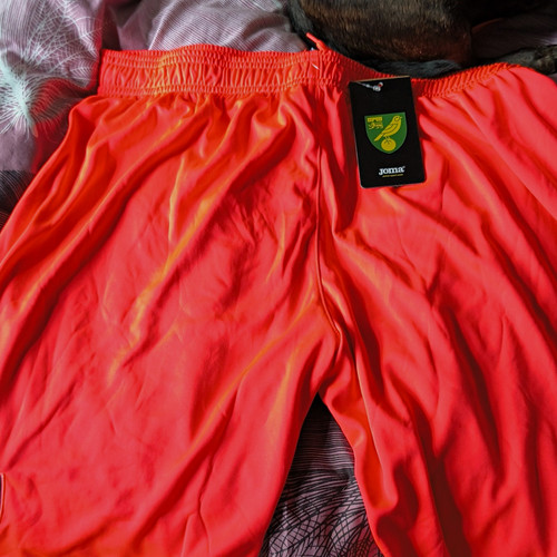 Joma norwich city men - joma,