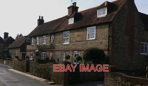 Photo the white horse - photo,
