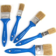 5 Piece Disposable Fine Paint