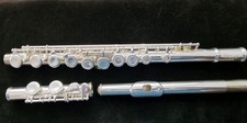 Stagg Flute fl 111 All Set Up