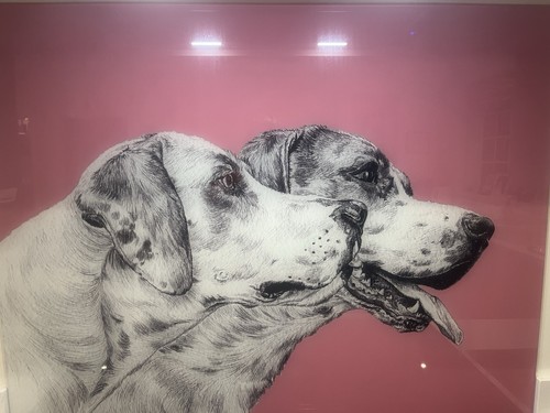 Hound oven kitchen splashback - hound, oven/kitchen