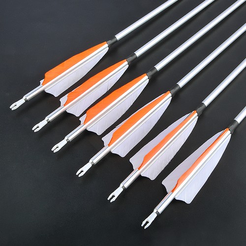 12x archery aluminum - 12x, arrow