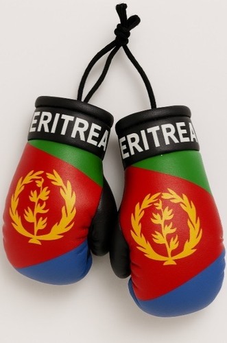 Eritrea mini boxing - gloves, 9