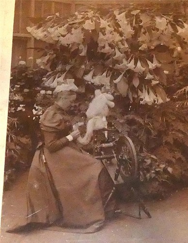 Antique cabinet photograph - antique,