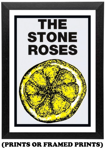 Stone roses lemon - roses, poster