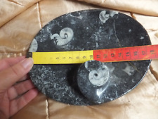 Fossil stone (Goniatite) decorative oval dish, 17.5cm