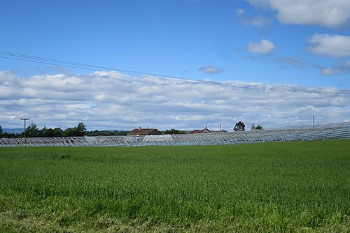 Photo 6x4 near bearfauld - 6x4,