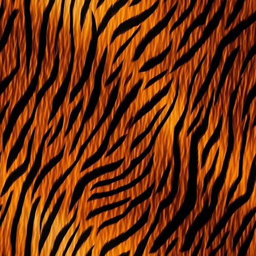 20x tiger skin - 20x,