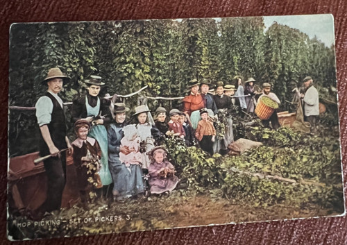 Antique postcard kent hop - antique,