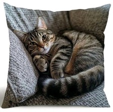 1 X Printed Cute Tabby Kitten Cat Cushion Covers Scatter Decorative cushions