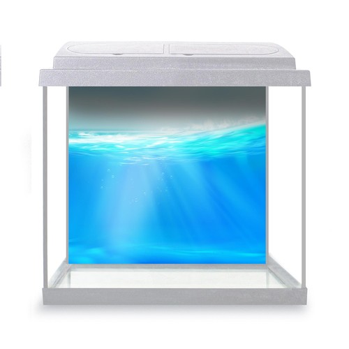 Fish tank background - fish,