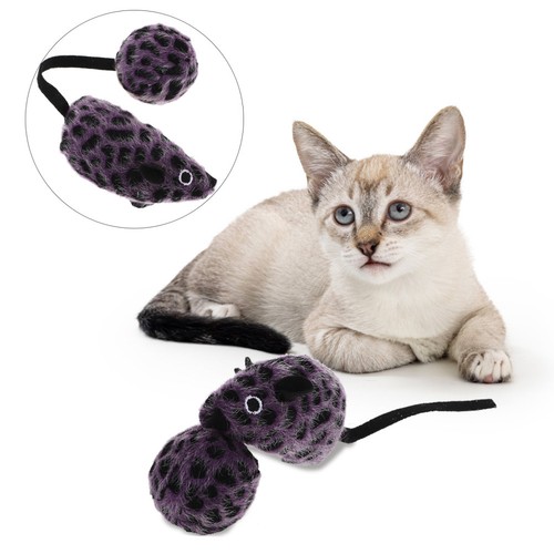 Set cartoon cat - set,