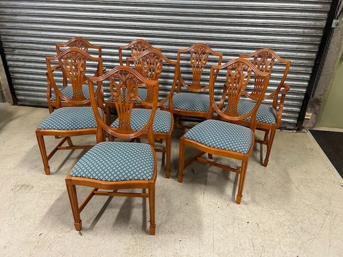 Eight yew wood dining chairs - wood,