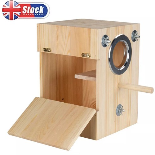 Parrot budgie lovebirds wooden - parrot,