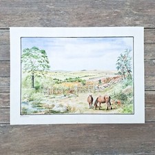 Dartmoor Original painting Signed Watercolour Landscape Vintage Devon 1993
