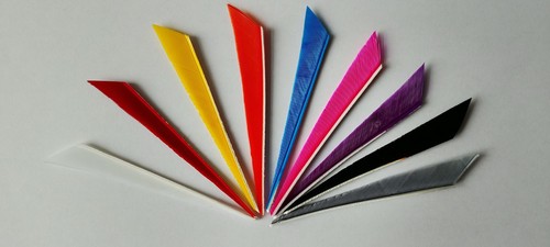 Dozen right wing - 3",